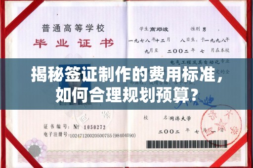 东辽揭秘签证制作的费用标准，如何合理规划预算？