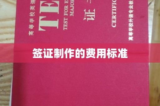 东辽签证制作的费用标准