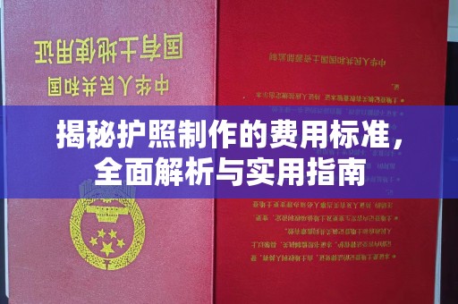 东辽揭秘护照制作的费用标准，全面解析与实用指南