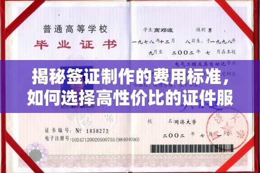 东辽揭秘签证制作的费用标准，如何选择高性价比的证件服务
