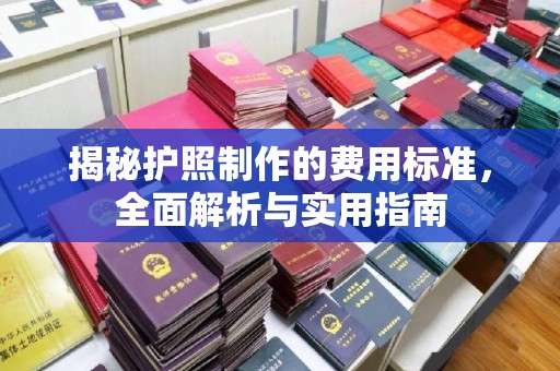 东辽揭秘护照制作的费用标准，全面解析与实用指南