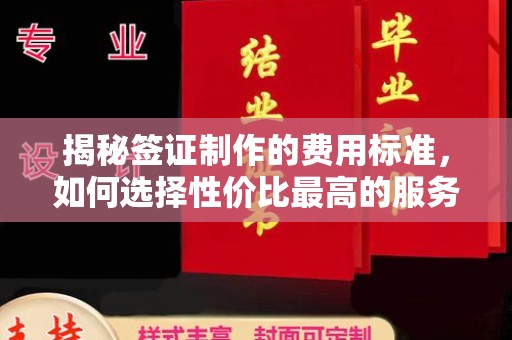 东辽揭秘签证制作的费用标准，如何选择性价比最高的服务？