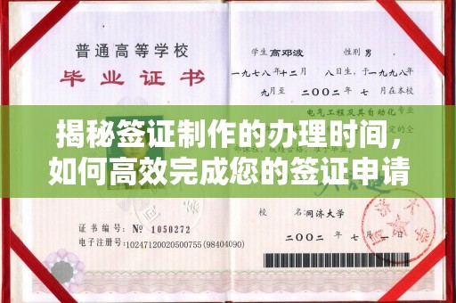 东辽揭秘签证制作的办理时间，如何高效完成您的签证申请