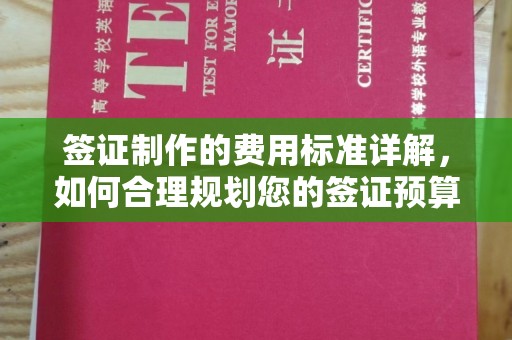 东辽签证制作的费用标准详解，如何合理规划您的签证预算