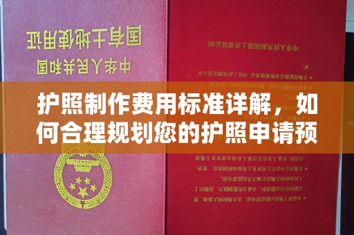东辽护照制作费用标准详解，如何合理规划您的护照申请预算