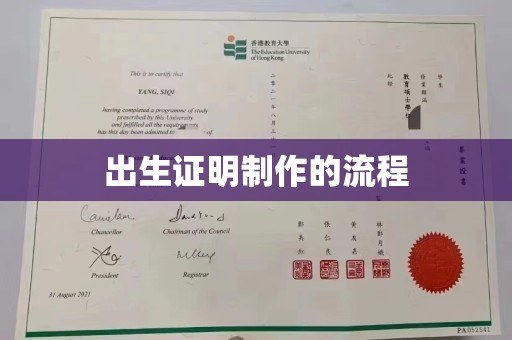 东辽出生证明制作的流程